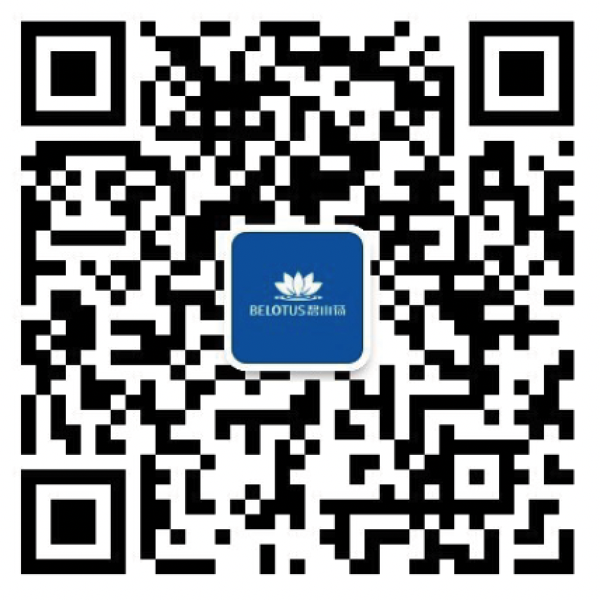 碧小荷公众号